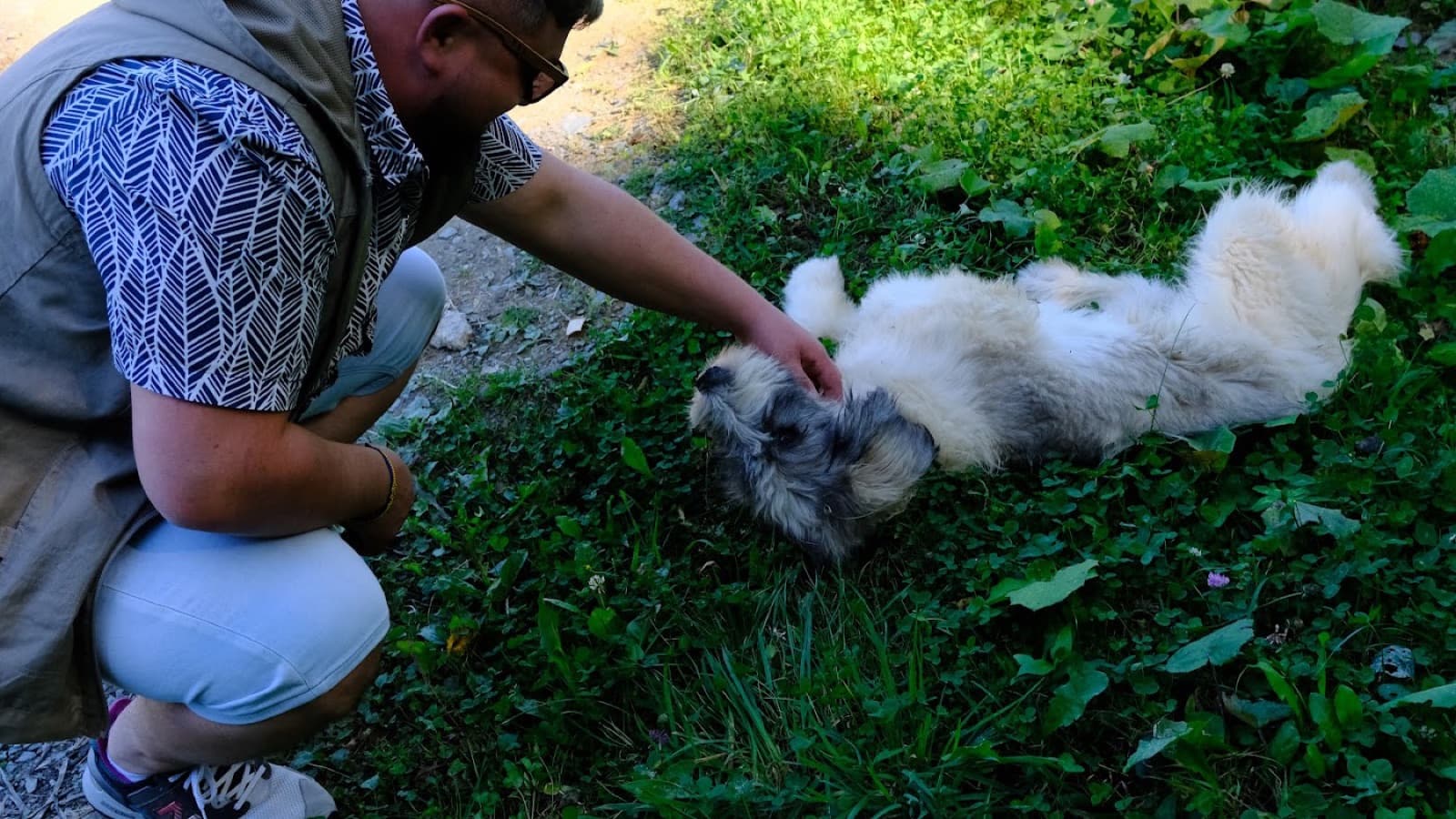 Cățelul care ne-a ținut companie